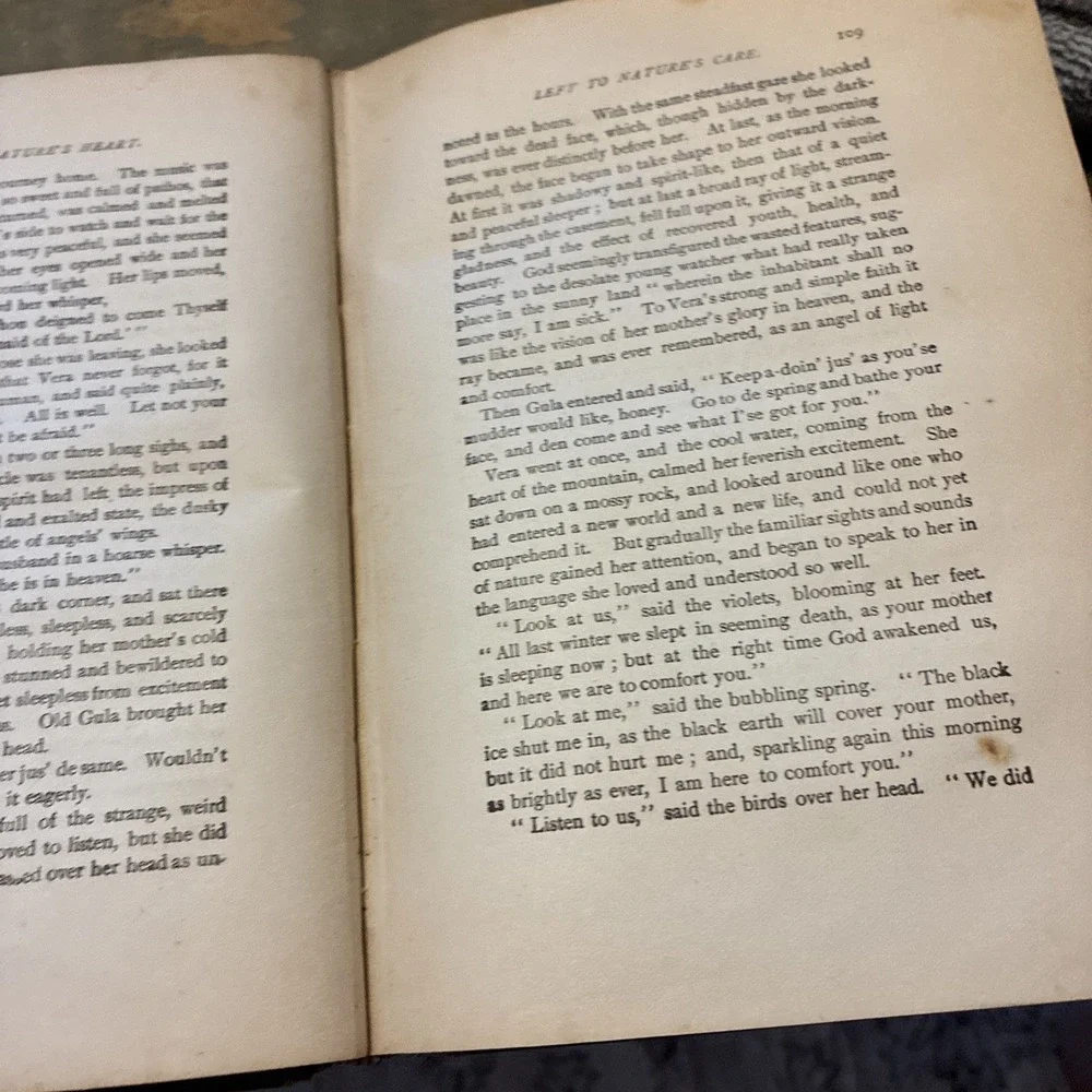 Near To Natures Heart VIII  by E.P. Roe, Dodd, Mead & Co 1876 Hardcover Antique